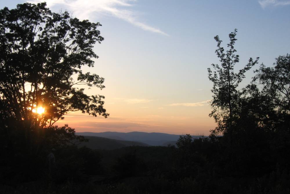 Sunset view from a mountain top with two tree silhouettes on each side of the image