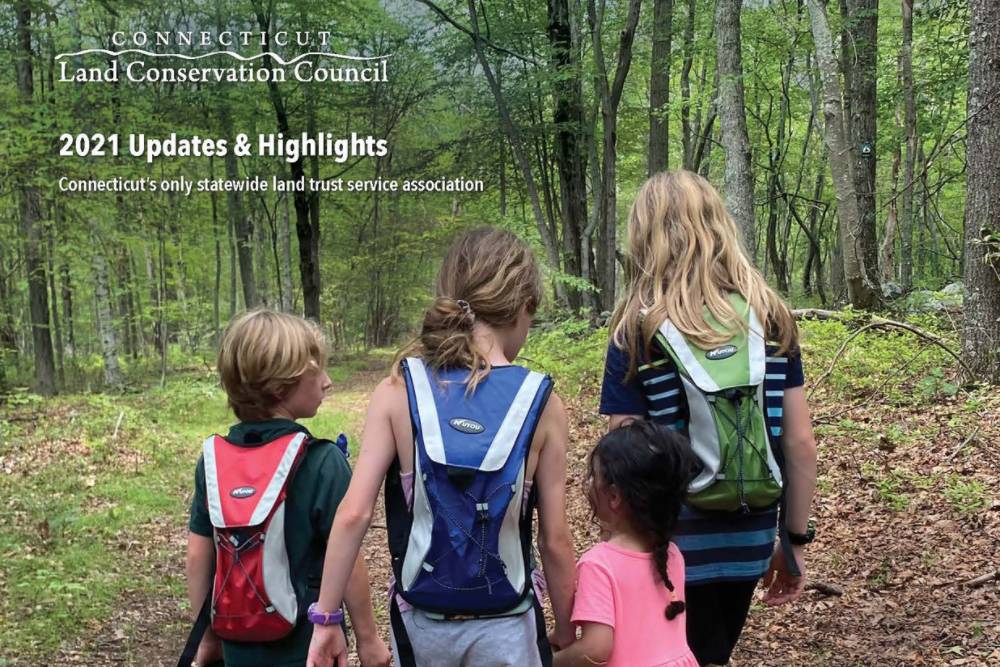 2021 newsletter cover photo of four kids walking on a trail in the woods
