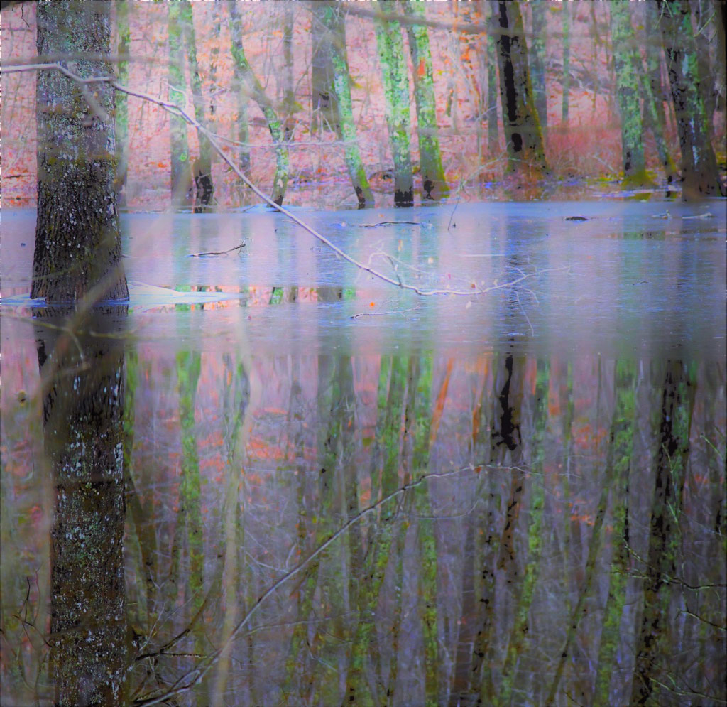 pastel colored reflections of trees in water