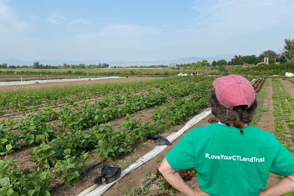 Woman at farm with back turned wearing green shirt that says "#LoveYourCTLandTrust"