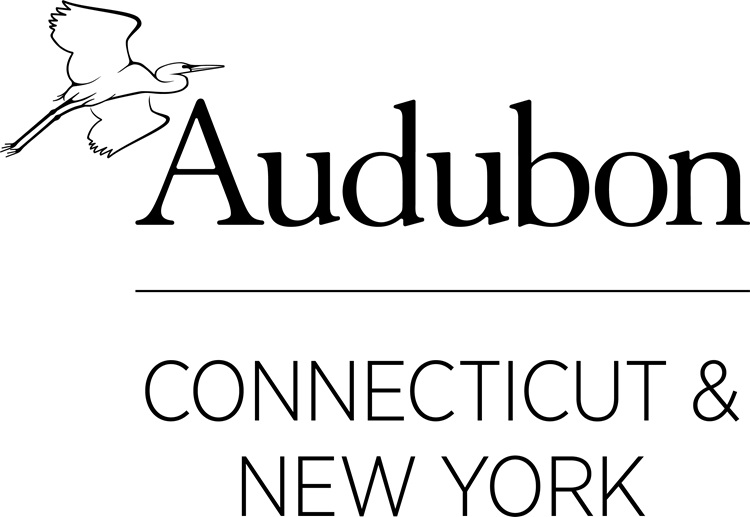 Audubon CT & NY Logo with bird graphic