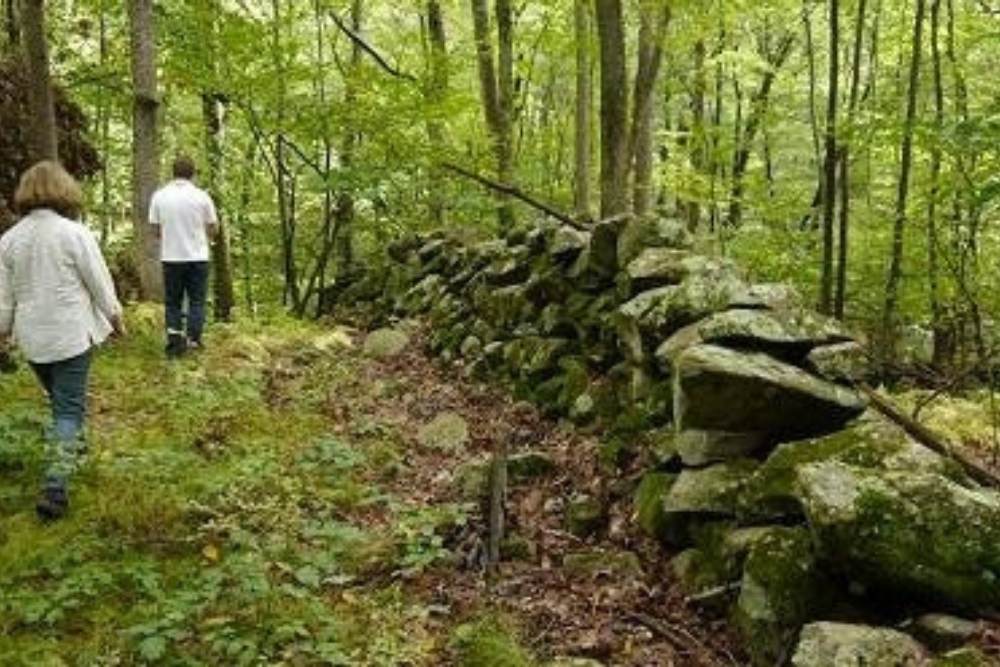 2 people walking in the woods alongside a stone wall