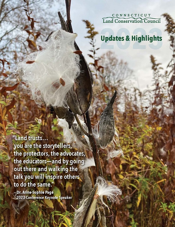 2023 Impact Report cover of milkweed closeup