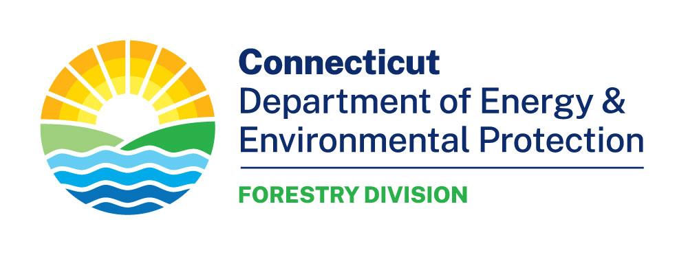 CT DEEP Forestry logo of rising sun above water and green land