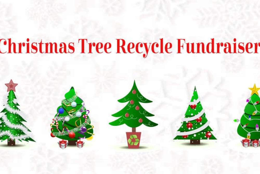 Graphic of Christmas trees and the text "Christmas Tree Recycle Fund"
