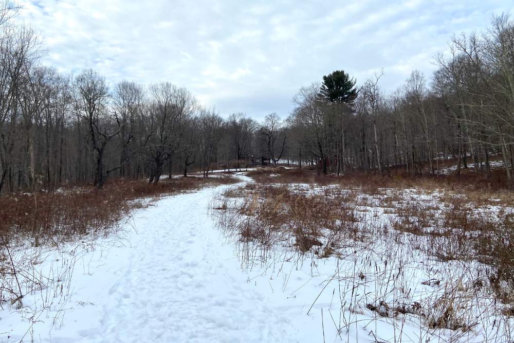Gray day at a preserve with snow on the ground