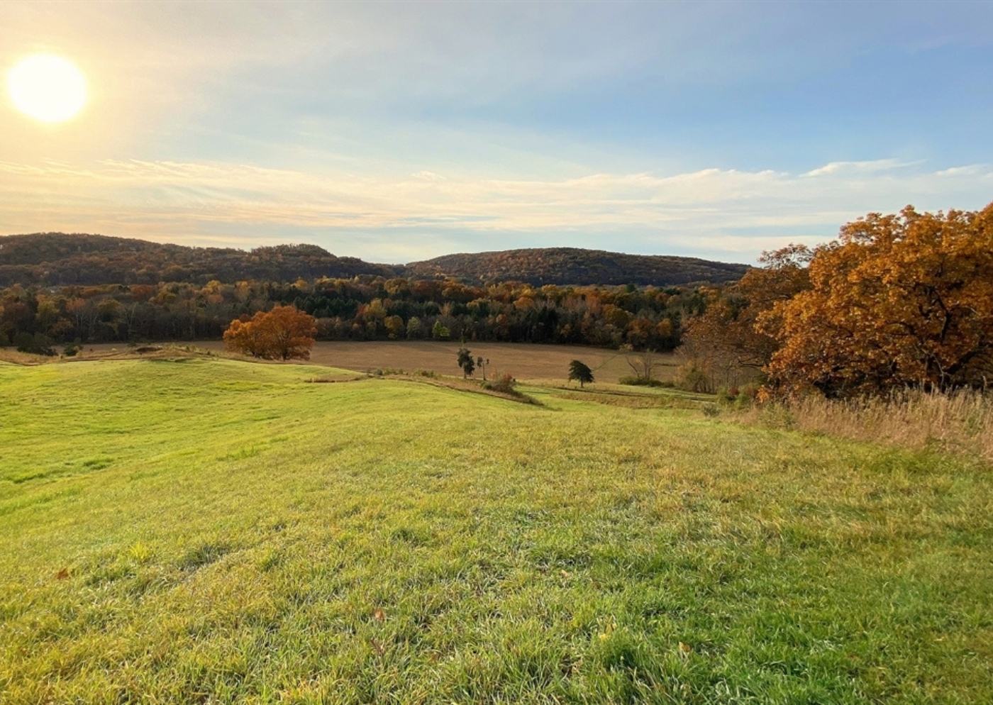 An open field preserve with fall foliage of trees and a couple of mountaintops in the background
