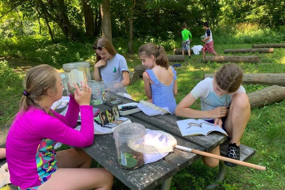 Group of older kids sitting at a picnic table with a butterfly net and looking at bugs