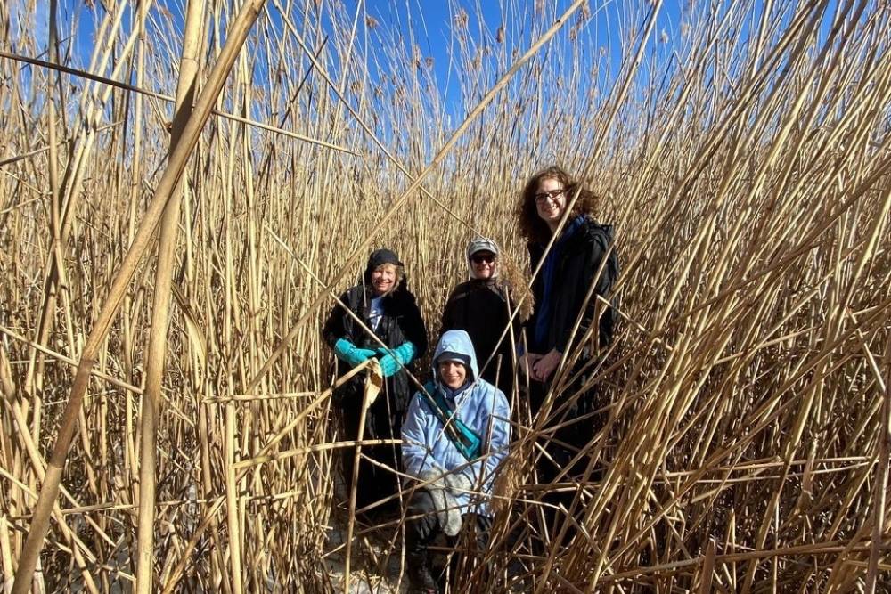 Group photo of the interns in tall grass