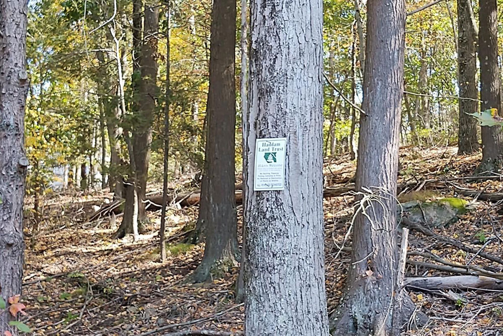 Woodlands with a HLT sign marking property
