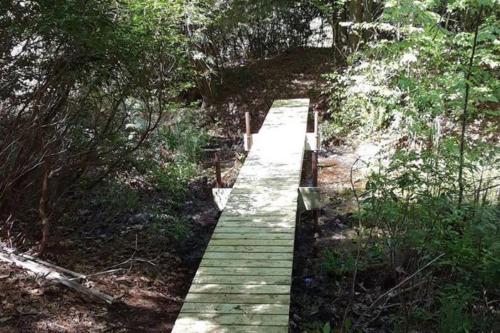 New Bridge On Recent Forever Forest Preserve