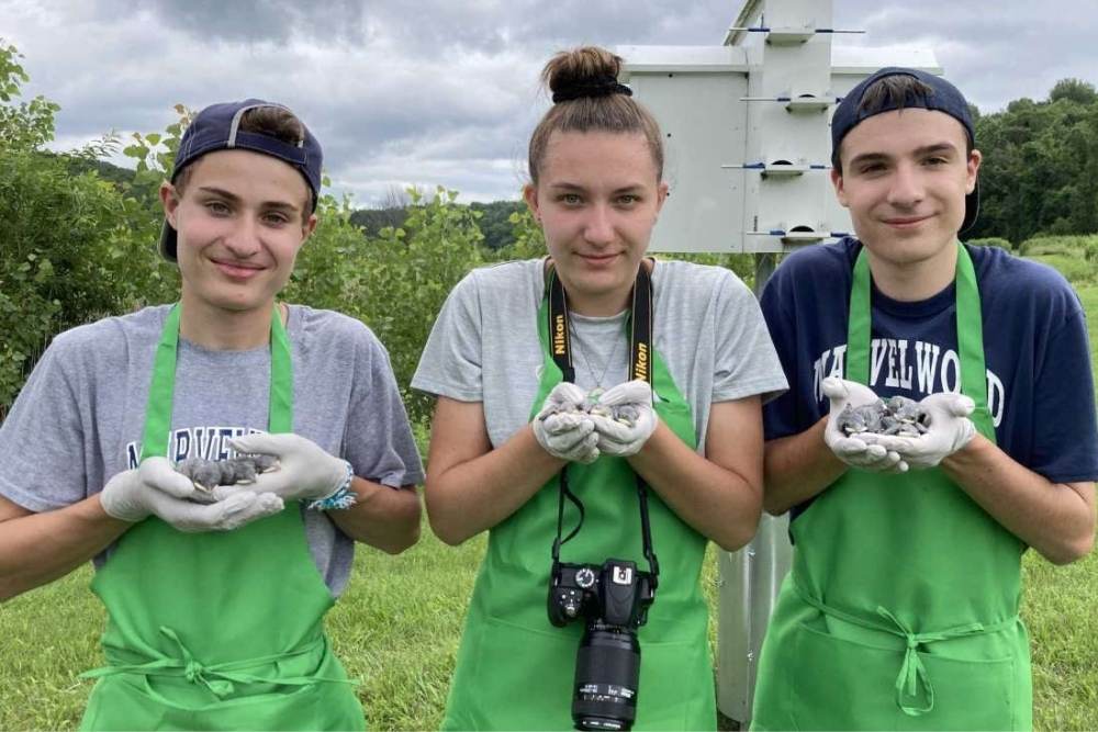 3 teenagers outside with each person wearing a green apron and holding a bird in their hand