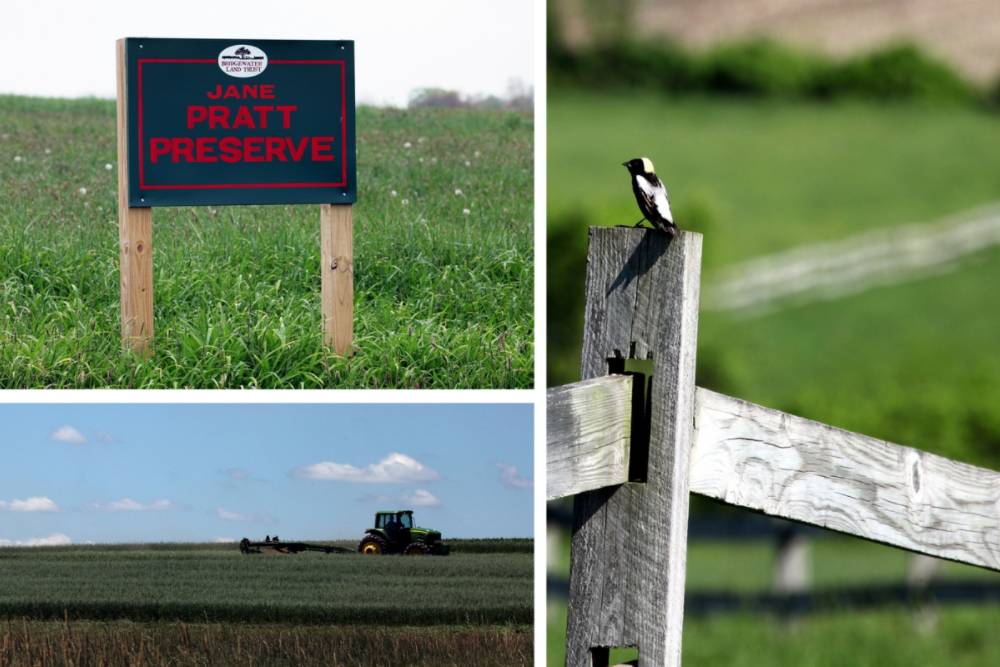 Collage of farmland and Jane Pratt Preserve sign