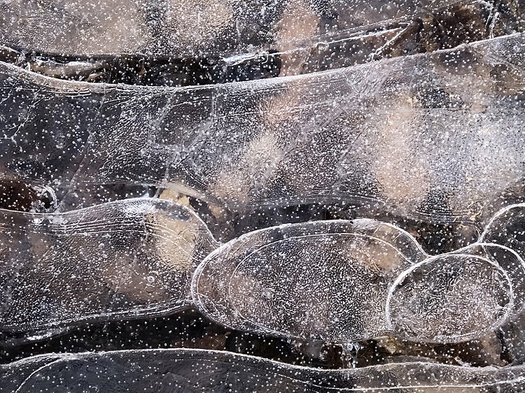 Art in ice crystals at a pond