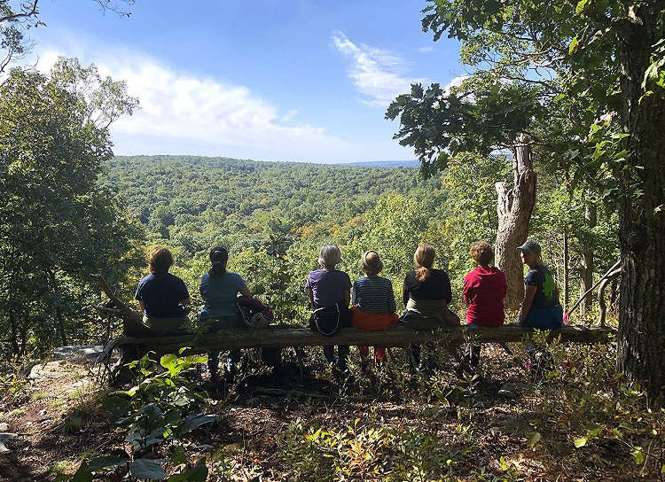 Group of people sitting on a log looking out at an overlook of trees