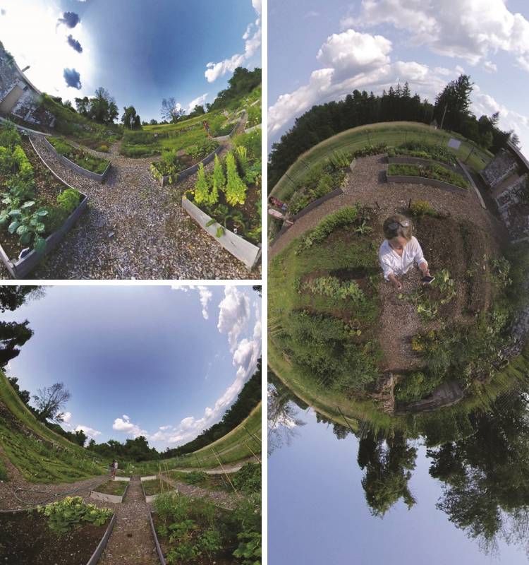 Collage of 3 fishbowl lens photos in a community garden, one with a woman gardening and two are views of the garden's raised beds
