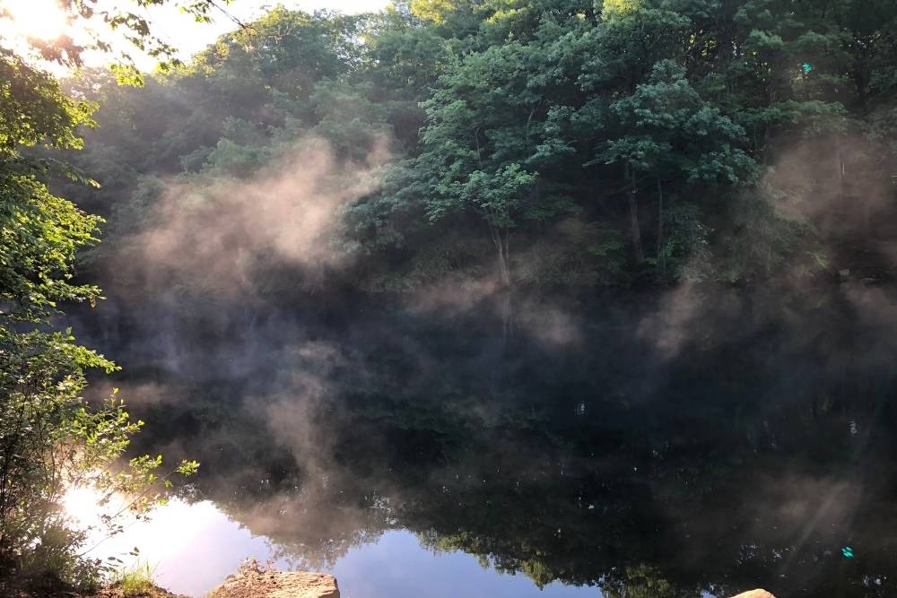 Early morning mist on a pond