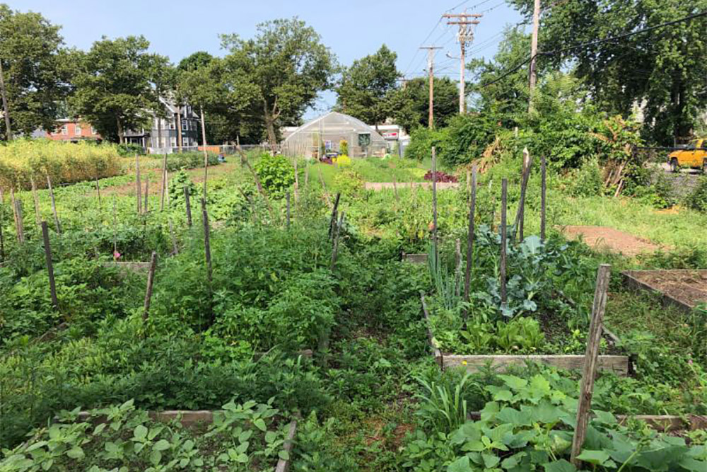 CT DEEP's Urban Green and Community Garden Grant Program