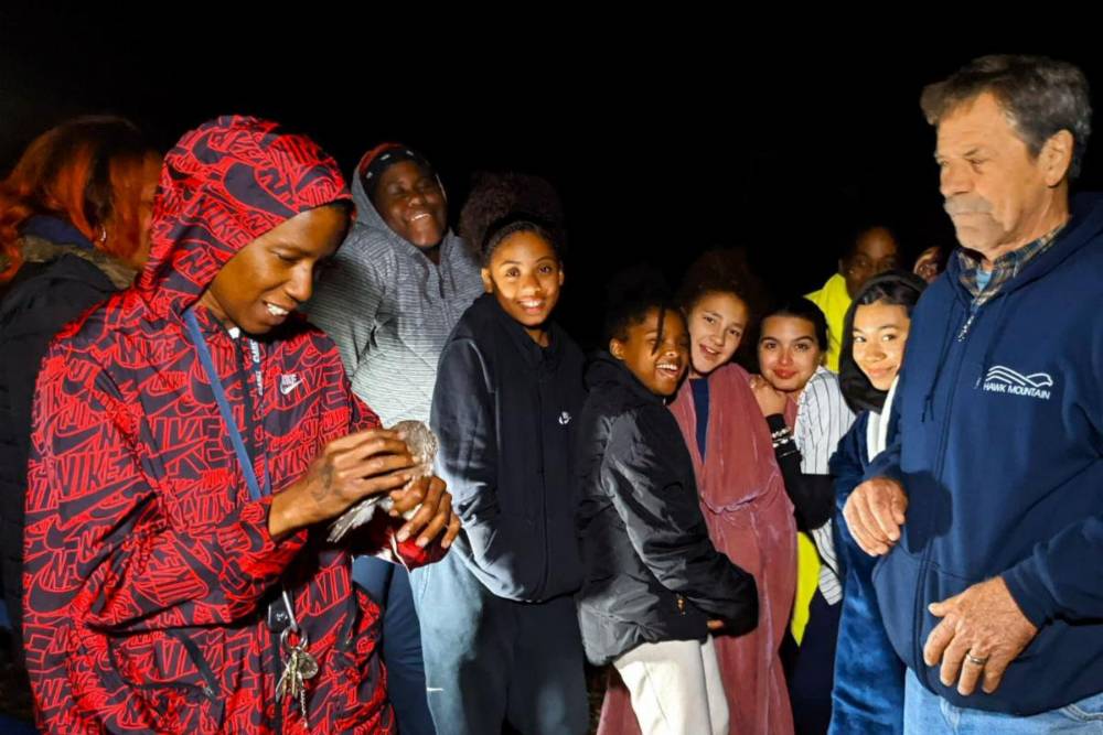 Group of teens at night observing an owl banding