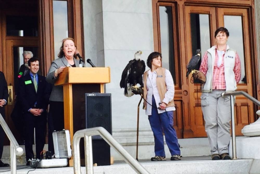Sandy Breslin speaking at podium with 2 women holding birds