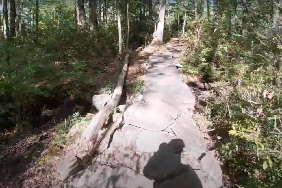 Screenshot of video on a hike