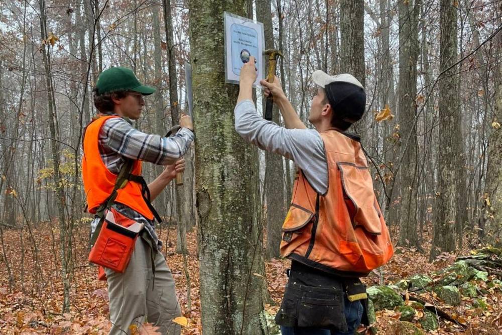 Two staff members hang a trail sign to a tree in the woods