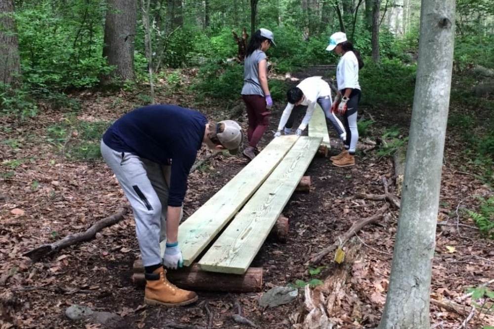 Four people building a bridge made of two wooden planks in the woods