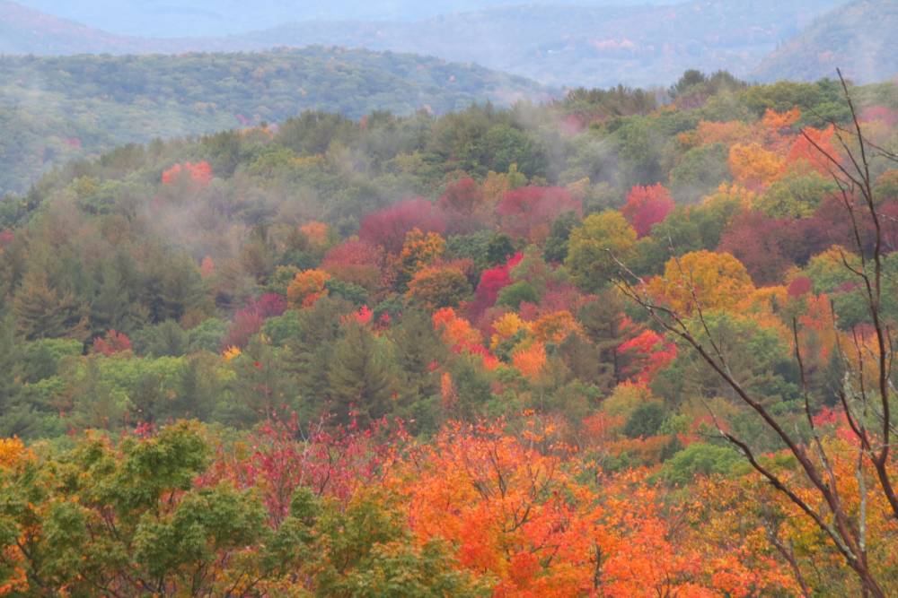 Fall foliage with bright oranges and red from a view on a mountaintop