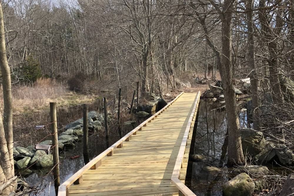 Trail bridge at preserve