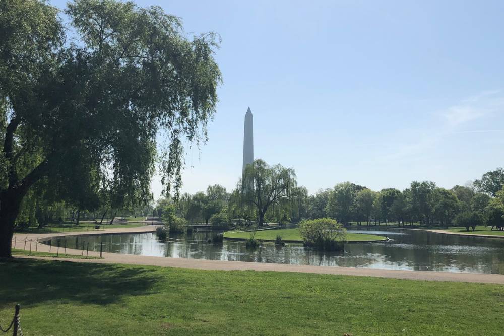 Washington Monument in the spring at a park