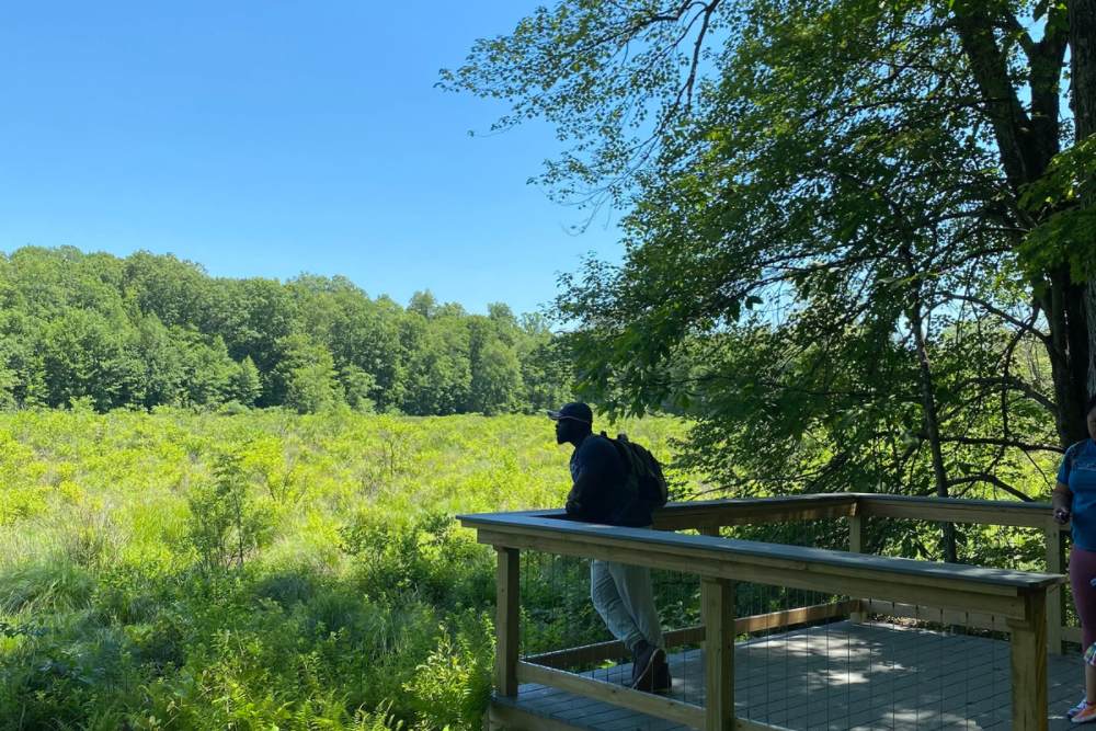 Man leaning forward on a wooden platform looking out at a preserve on a sunny day with clear skies