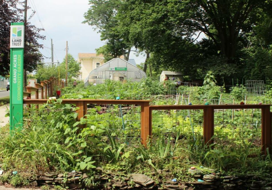Community garden with a sign on the left and a brown fence in the front