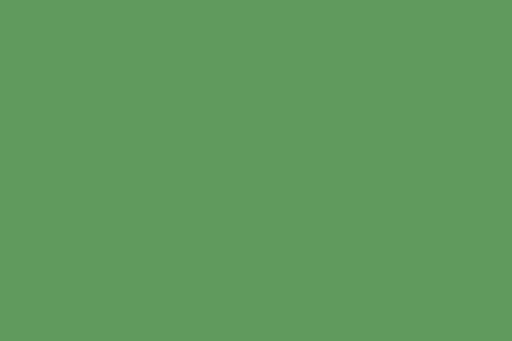 Grass Green 609b5c