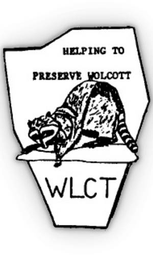 Raccoon with text Helping to Preserve Wolcott WLCT